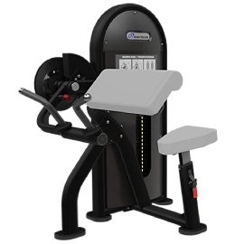 Nautilus Dual Biceps Curl / Triceps Extension leos