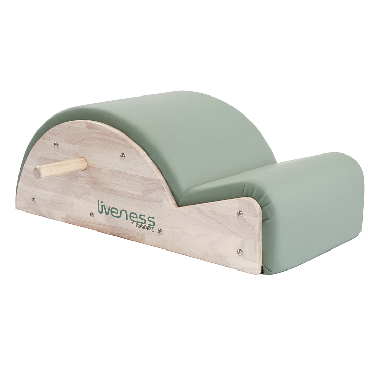 Spine Corrector PTX-1700G LIVENESS TOORX