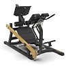 DUAL HYPER EXTENSION (FWX-10500) Toorx