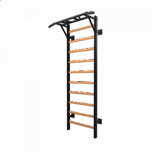 Επαγγελματικό Πολύζυγο Multifunctional Ladder LDX-3000 TOORX